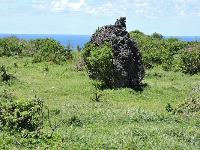DSCN3492.JPG