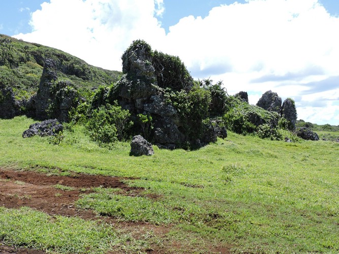 DSCN3495.JPG