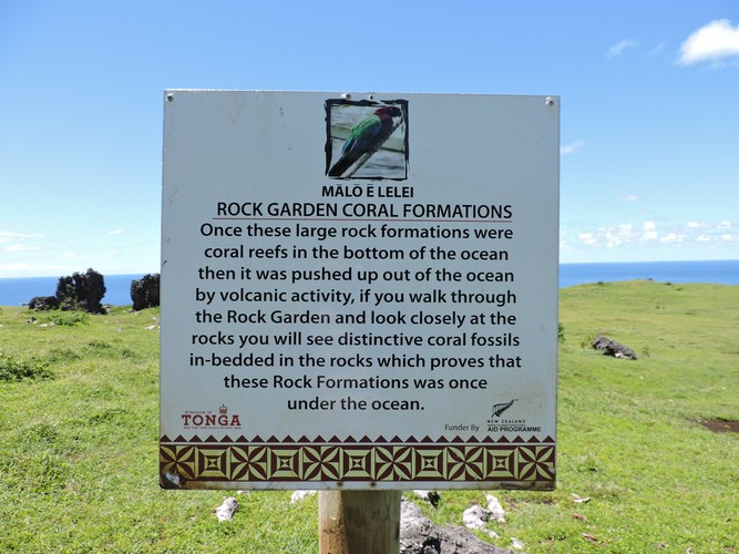 DSCN3496.JPG