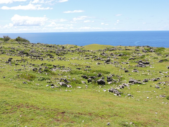 DSCN3497.JPG