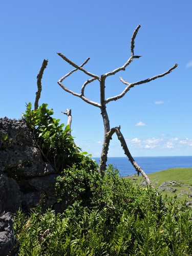 DSCN3498.JPG