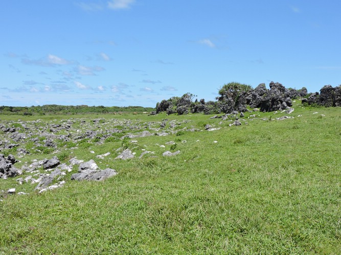 DSCN3499.JPG
