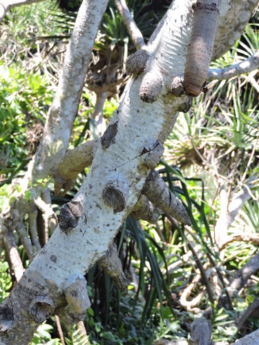 DSCN3513.JPG