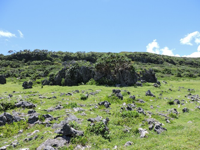 DSCN3526.JPG