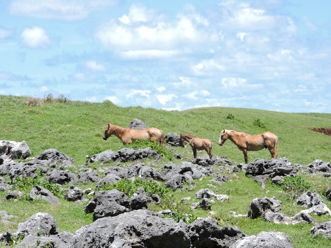 DSCN3527.JPG