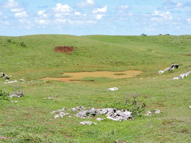 DSCN3528.JPG