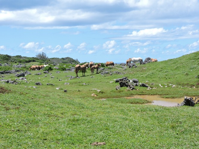DSCN3529.JPG