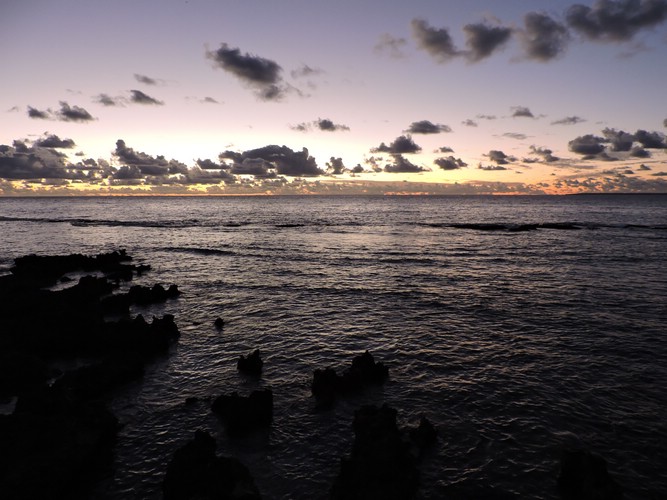 DSCN3530.JPG