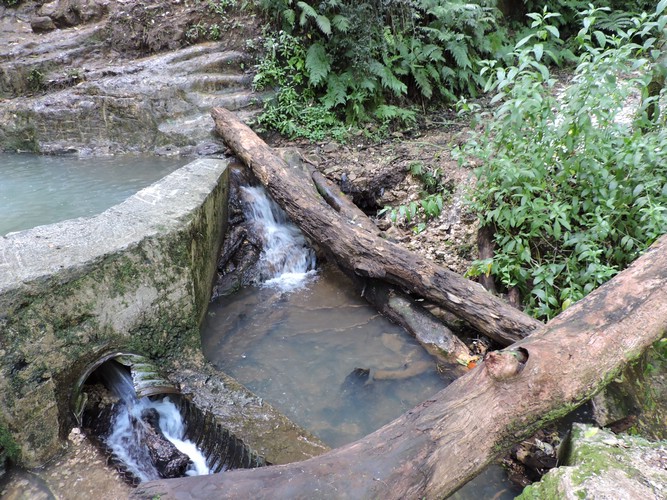 DSCN3536.JPG