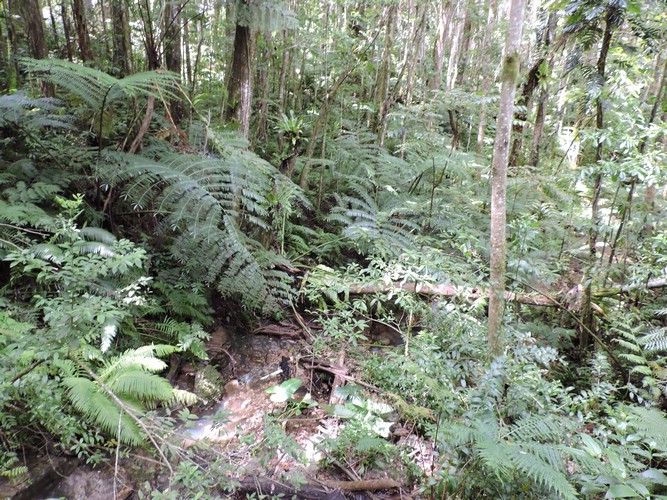 DSCN3537.JPG