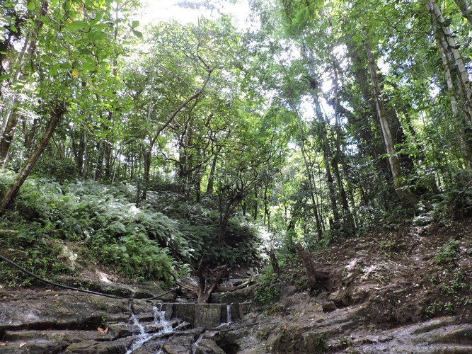 DSCN3538.JPG