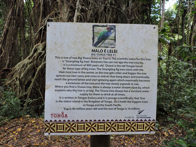 DSCN3540.JPG