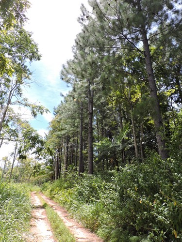 DSCN3555.JPG