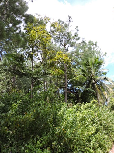 DSCN3556.JPG