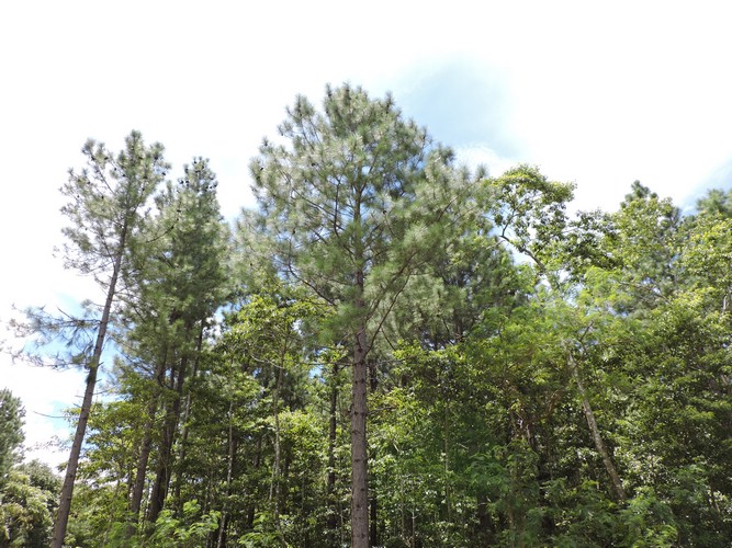 DSCN3557.JPG