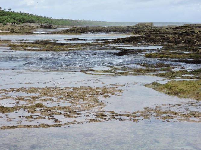 DSCN3590.JPG