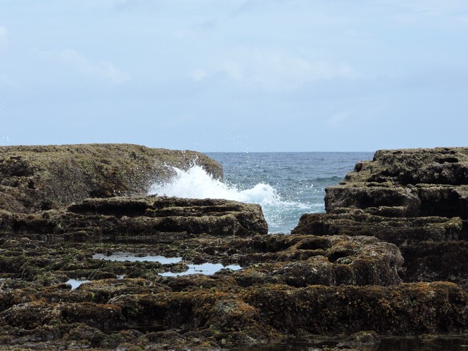 DSCN3591.JPG