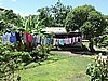 DSCN3177.JPG