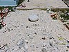 DSCN3204.JPG