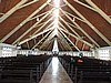 DSCN3211.JPG