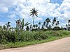 DSCN3235.JPG