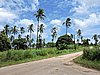 DSCN3236.JPG