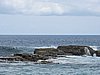DSCN3238.JPG