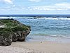 DSCN3239.JPG