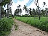 DSCN3240.JPG