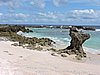 DSCN3248.JPG