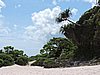 DSCN3253.JPG