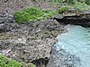 DSCN3271.JPG