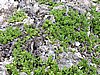 DSCN3272.JPG