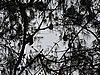 DSCN3276.JPG