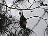 DSCN3277.JPG