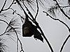 DSCN3279.JPG