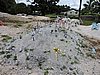 DSCN3283.JPG