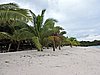 DSCN3286.JPG