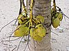 DSCN3288.JPG