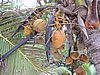 DSCN3290.JPG