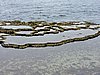 DSCN3303.JPG
