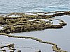 DSCN3304.JPG