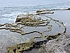 DSCN3306.JPG