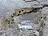 DSCN3308.JPG