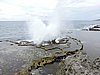 DSCN3310.JPG