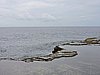 DSCN3318.JPG