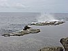 DSCN3319.JPG