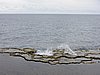 DSCN3320.JPG