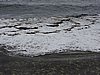 DSCN3323.JPG