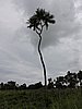 DSCN3324.JPG